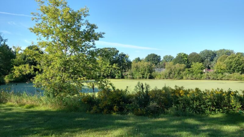 Kettle Park - Eagan, MN