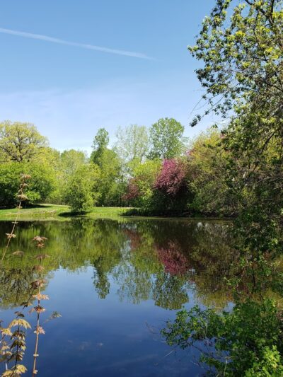 Kettle Park - Eagan, MN