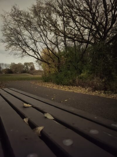 Meadowlands Park - Eagan, MN