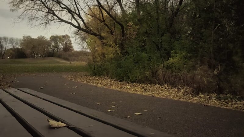 Meadowlands Park - Eagan, MN