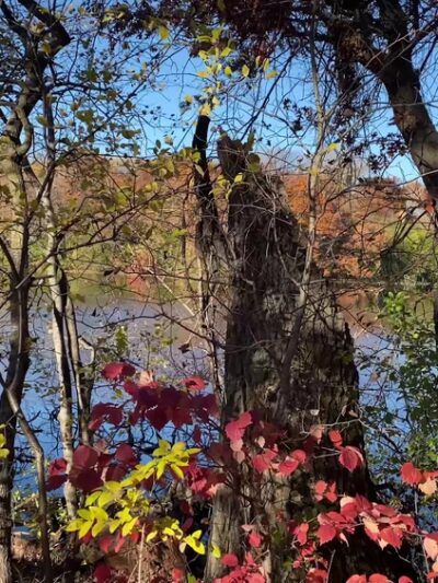 O'Leary Park - Eagan, MN