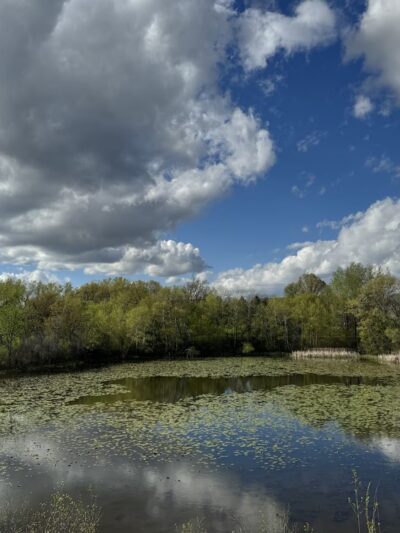 O'Leary Park - Eagan, MN