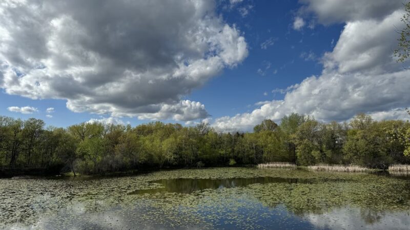 O'Leary Park - Eagan, MN