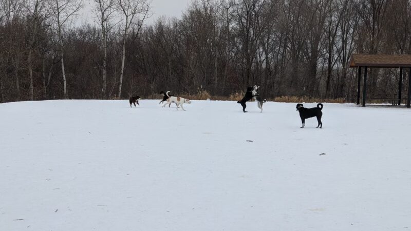 Thresher Fields Park - Eagan, MN