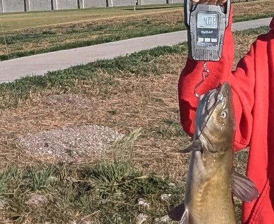 Racquetball Court - Eagar, AZ