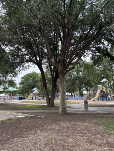 Ramsey Park - Eagar, AZ