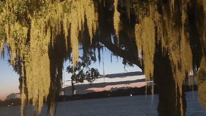 Eagle Lake Park - Eagle Lake, FL
