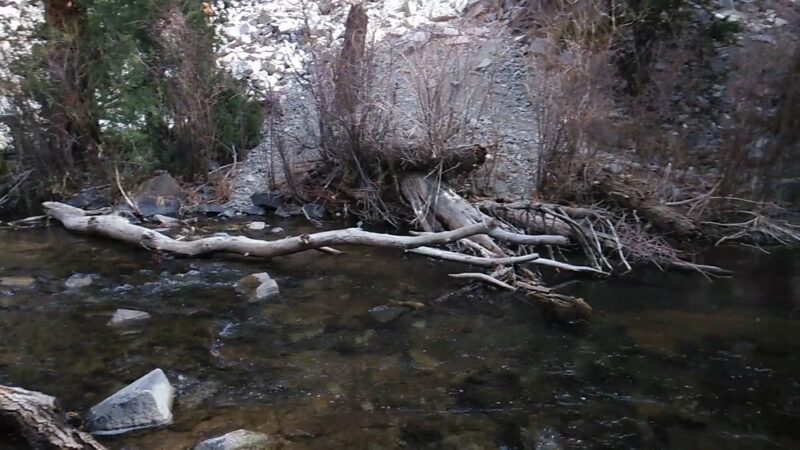 Cimarron Canyon State Park - Eagle Nest, NM