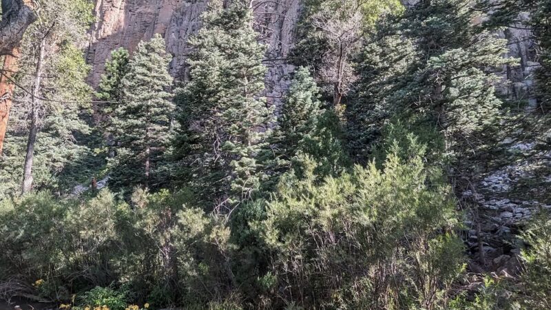 Cimarron Canyon State Park - Eagle Nest, NM