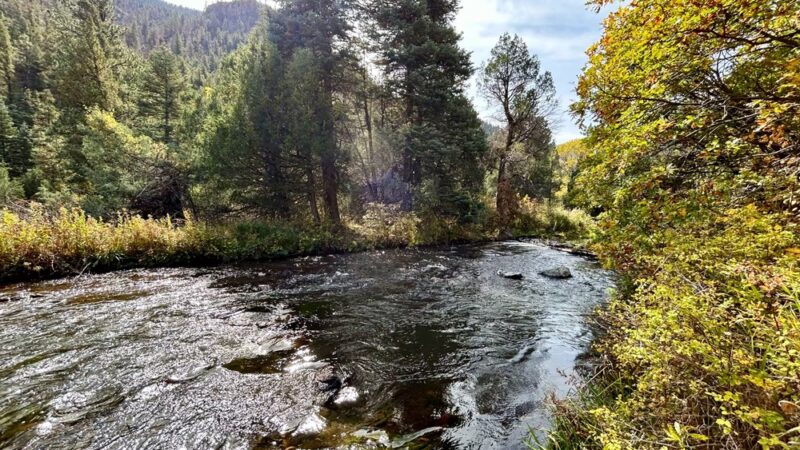 Cimarron Canyon State Park - Eagle Nest, NM