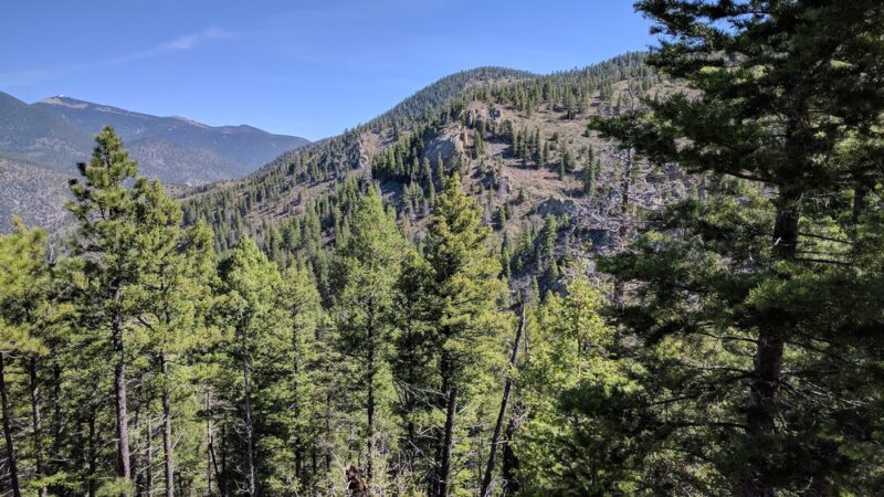 Cimarron Canyon State Park - Eagle Nest, NM