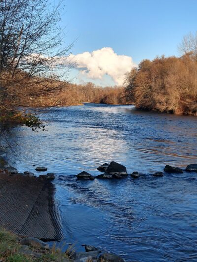 Dodge Bridge County Park - Eagle Point, OR