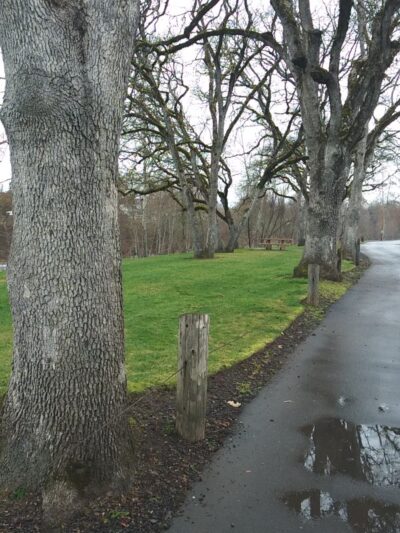 Little Butte Park - Eagle Point, OR