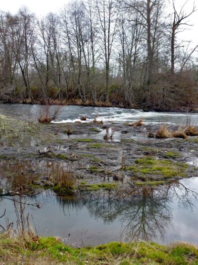 ODFW Nature Walk - Eagle Point, OR