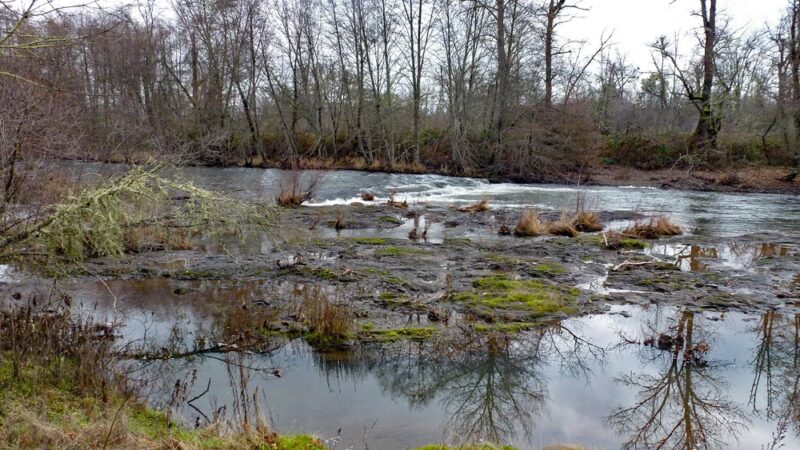 ODFW Nature Walk - Eagle Point, OR