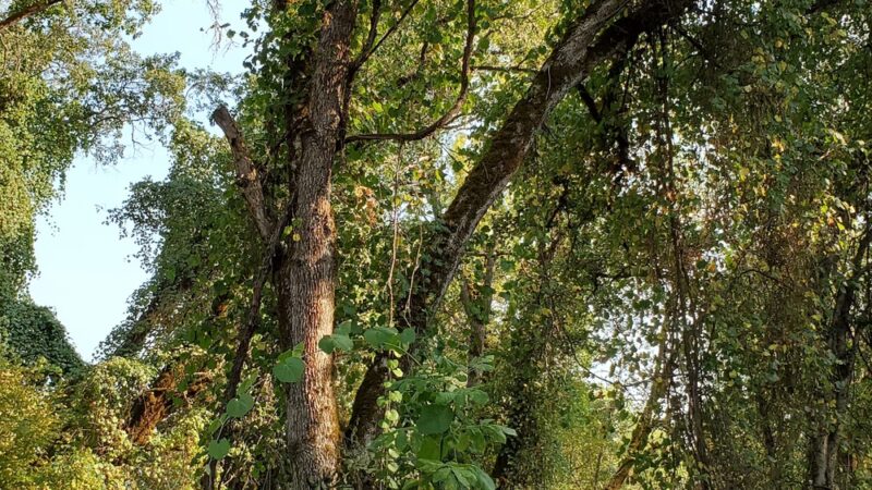 ODFW Nature Walk - Eagle Point, OR