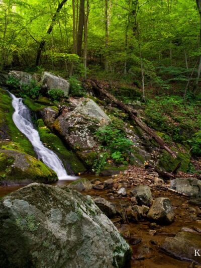 Roaring Run Day Use Area - Eagle Rock, VA