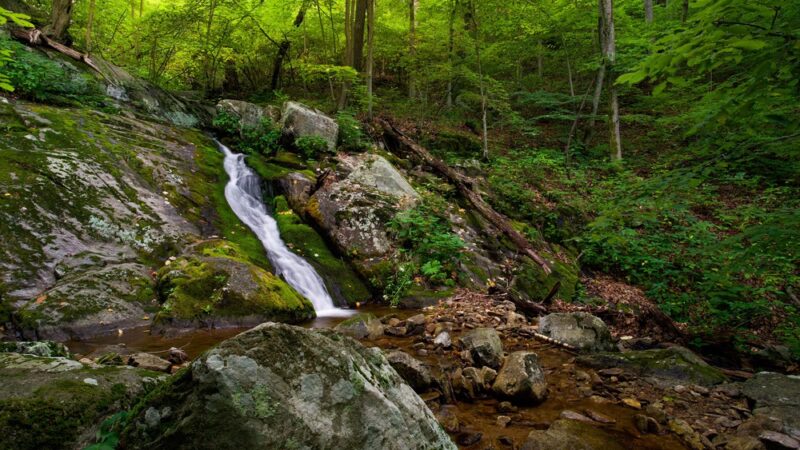Roaring Run Day Use Area - Eagle Rock, VA