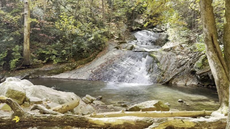 Roaring Run Furnace - Eagle Rock, VA