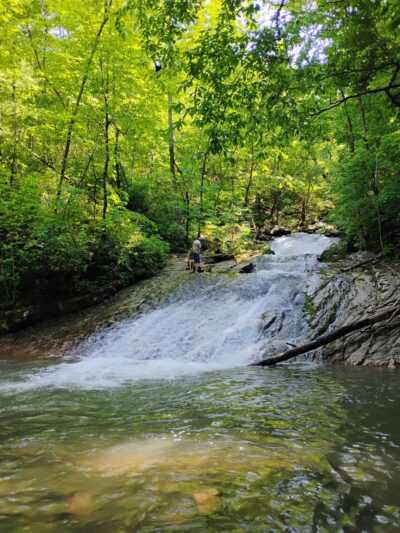 Roaring Run Furnace - Eagle Rock, VA