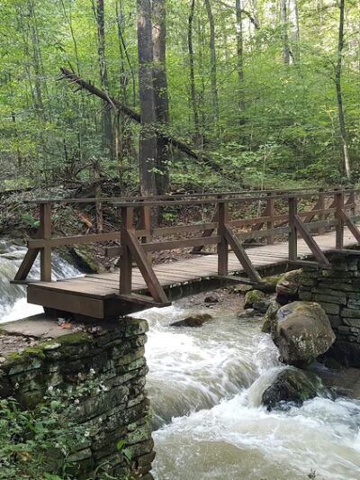 Roaring Run Furnace - Eagle Rock, VA