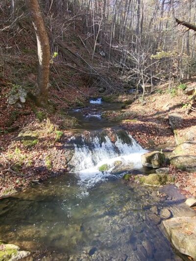 Roaring Run Loop Trail - Eagle Rock, VA