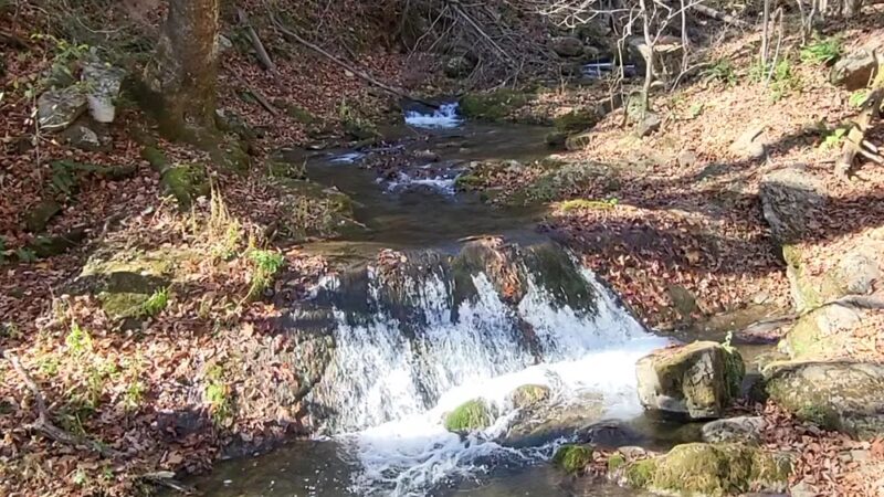 Roaring Run Loop Trail - Eagle Rock, VA