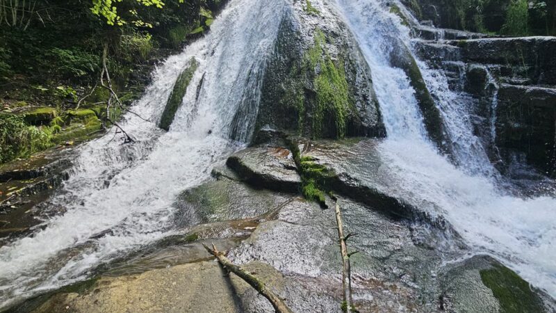 Roaring Run Loop Trail - Eagle Rock, VA