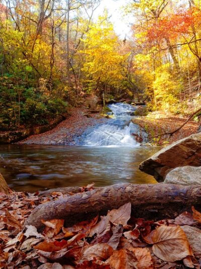 Roaring Run Loop Trail - Eagle Rock, VA