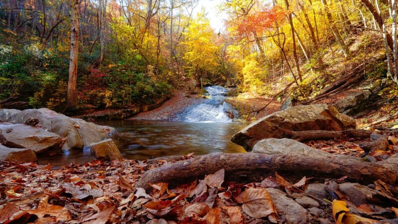 Roaring Run Loop Trail - Eagle Rock, VA