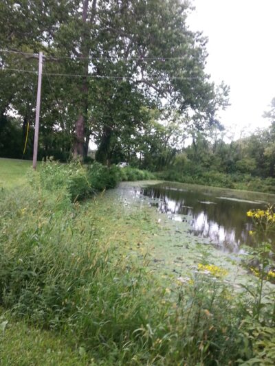 Shabbona County Park - Earlville, IL