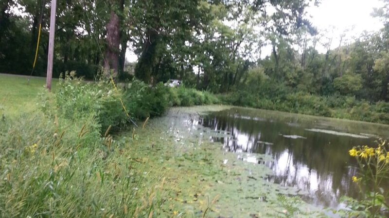 Shabbona County Park - Earlville, IL