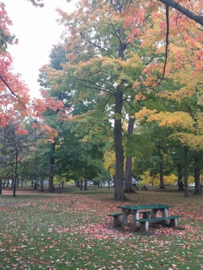 Hamlin Park - East Aurora, NY