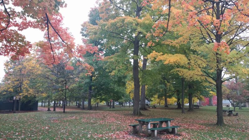 Hamlin Park - East Aurora, NY