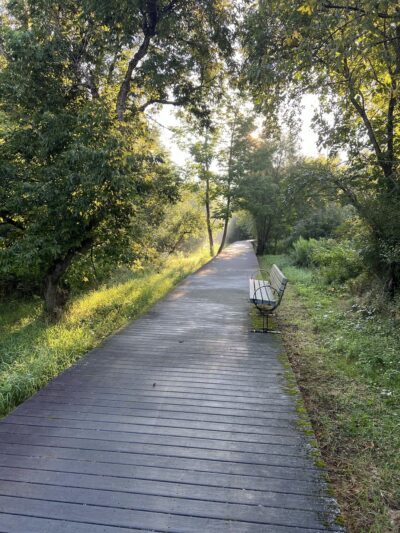 Majors Park - East Aurora, NY