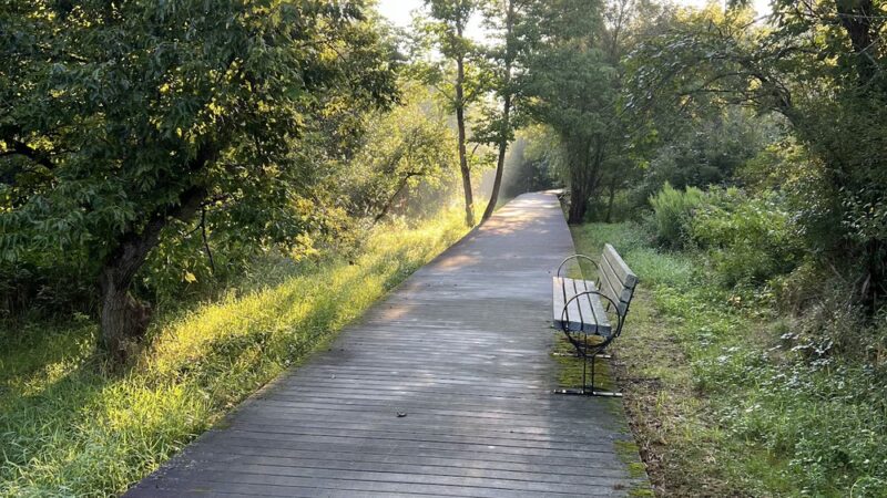 Majors Park - East Aurora, NY