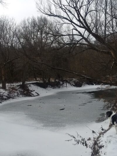 Majors Park - East Aurora, NY