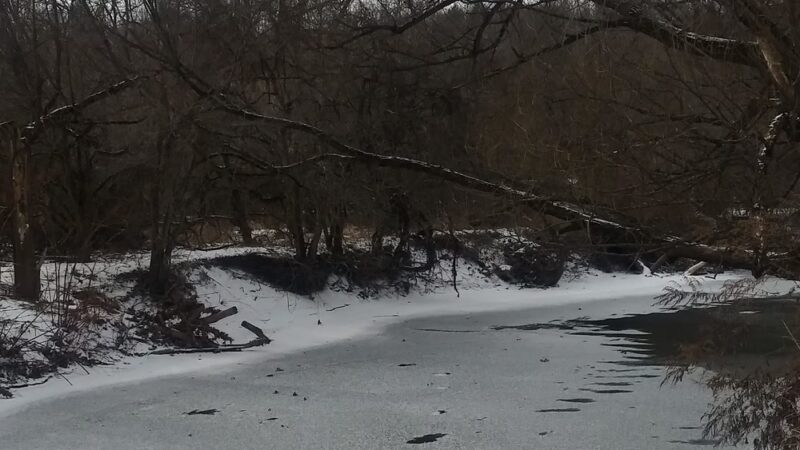 Majors Park - East Aurora, NY