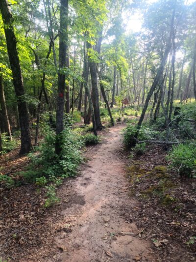 Ivy Bluffs Trail - East Bend, NC
