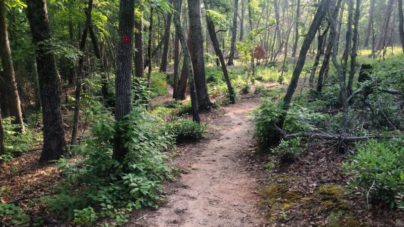 Ivy Bluffs Trail - East Bend, NC