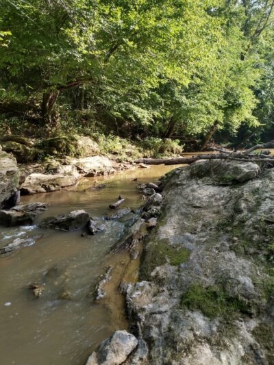 Ivy Bluffs Trail - East Bend, NC