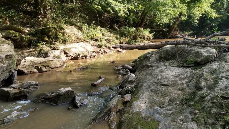 Ivy Bluffs Trail - East Bend, NC