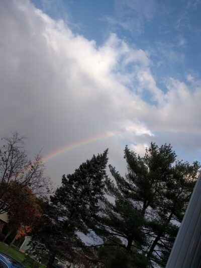 PINE RIDGE PARK - East Brunswick, NJ