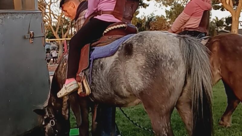 East Rancho Dominguez Park - East Compton, CA