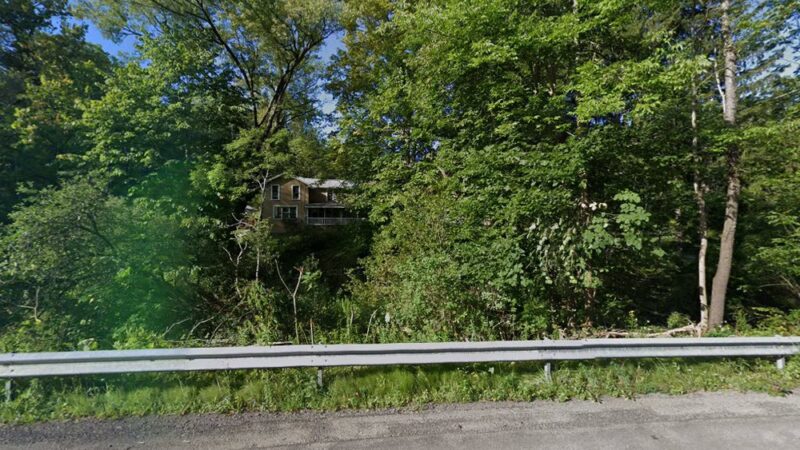 East Concord Canine Retreat - East Concord, NY