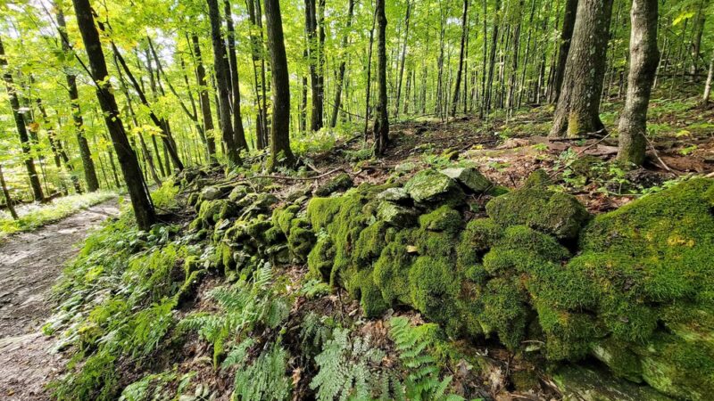 Emerald Lake State Park - East Dorset, VT