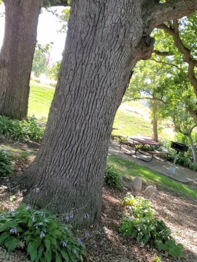 Gramercy Park - East Dubuque, IL