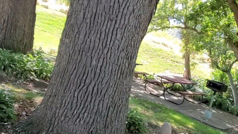 Gramercy Park - East Dubuque, IL