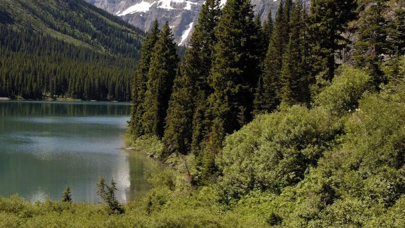 East Glacier Park - East Glacier Park, MT