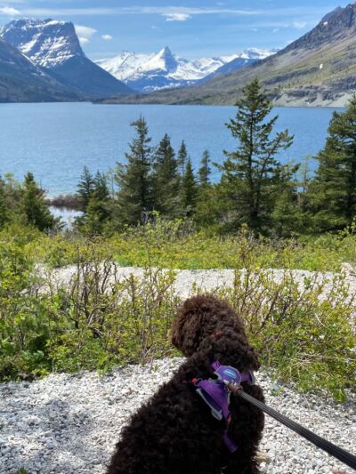 Ruffy Inn - East Glacier Park, MT
